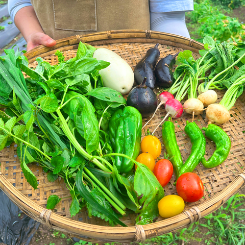 【dk's FARM】夏野菜カレーセット 【送料込み】