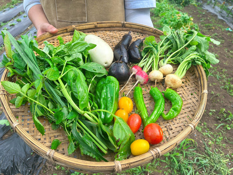 【dk's FARM】夏野菜カレーセット 【送料込み】