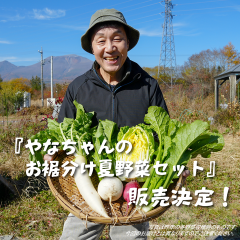 柳原陽一郎『やなぎはランド』直送！ やなちゃんのお裾分け夏野菜セット