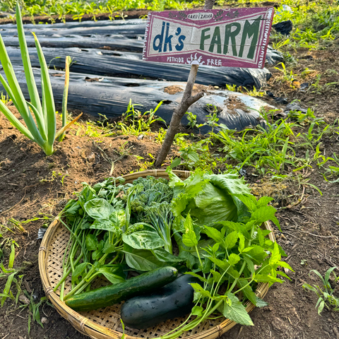 【dk's FARM】採れたてお野菜お裾分けセット 【送料込み】